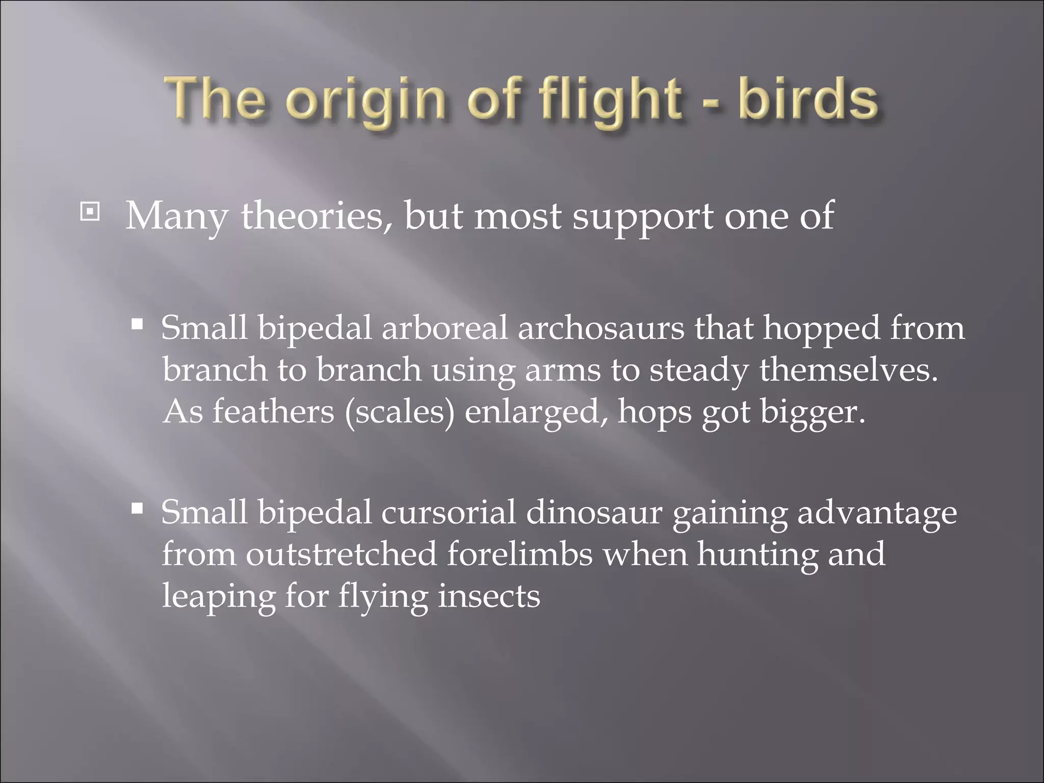 Bipidal Insect Locomotion Flying And Gliding | PPT