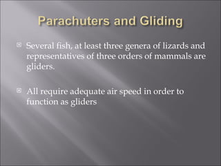Locomotion Flying And Gliding | PPT