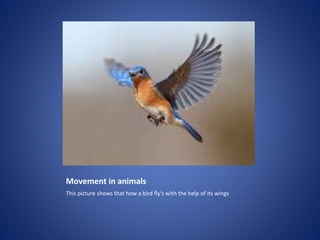 Locomotion and movement | PPTX