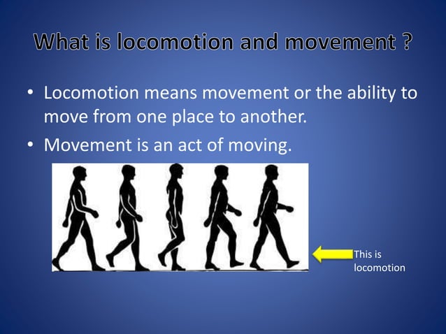 Locomotion And Movement PPT