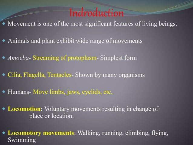 Locomotion and movement In Humans | PPTX | Death, Injury, or Military ...