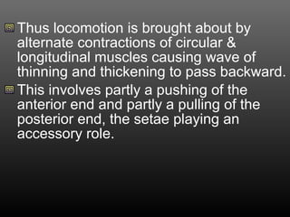 Thus locomotion is brought about by
alternate contractions of circular &
longitudinal muscles causing wave of
thinning and thickening to pass backward.
This involves partly a pushing of the
anterior end and partly a pulling of the
posterior end, the setae playing an
accessory role.
 
