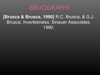 BIBLIOGRAPHY
[Brusca & Brusca, 1990] R.C. Brusca, & G.J.
Brusca, Invertebrates, Sinauer Associates,
1990.
 