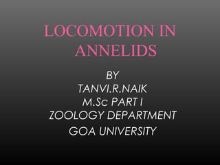 LOCOMOTION IN
ANNELIDS
BY
TANVI.R.NAIK
M.Sc PART I
ZOOLOGY DEPARTMENT
GOA UNIVERSITY
 