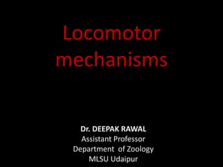 Locomotor
mechanisms
Dr. DEEPAK RAWAL
Assistant Professor
Department of Zoology
MLSU Udaipur
 