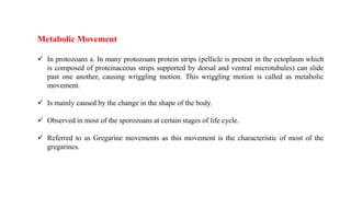 locomotion in protozoa.pptx