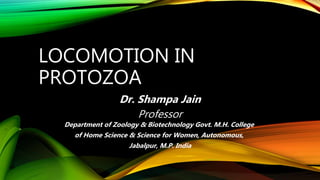 LOCOMOTION IN
PROTOZOA
Dr. Shampa Jain
Professor
Department of Zoology & Biotechnology Govt. M.H. College
of Home Science & Science for Women, Autonomous,
Jabalpur, M.P. India
 
