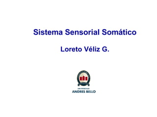 Sistema Sensorial Somático Loreto Véliz G. 