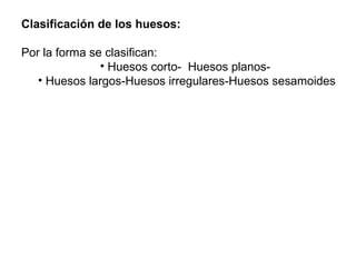 Clasificación de los huesos:
Por la forma se clasifican:
• Huesos corto- Huesos planos-
• Huesos largos-Huesos irregulares-Huesos sesamoides
 
