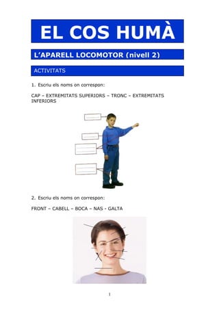 El cos humà. L'aparell locomotor. | DOC