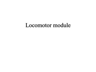 Locomotor module
 