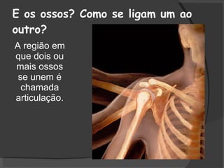 E os ossos? Como se ligam um ao outro? A região em que dois ou mais ossos se unem é chamada articulação. 