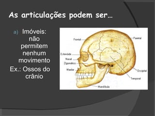 As articulações podem ser… Imóveis: não permitem nenhum movimento Ex.: Ossos do crânio 
