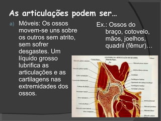 As articulações podem ser… Móveis: Os ossos movem-se uns sobre os outros sem atrito, sem sofrer desgastes. Um líquido grosso lubrifica as articulações e as cartilagens nas extremidades dos ossos. Ex.: Ossos do braço, cotovelo, mãos, joelhos, quadril (fêmur)… 