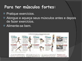 Para ter músculos fortes: Pratique exercícios. Alongue e aqueça seus músculos antes e depois de fazer exercícios. Alimente-se bem. 