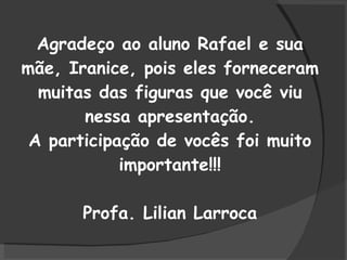 Agradeço ao aluno Rafael e sua mãe, Iranice, pois eles forneceram muitas das figuras que você viu nessa apresentação. A participação de vocês foi muito importante!!! Profa. Lilian Larroca 