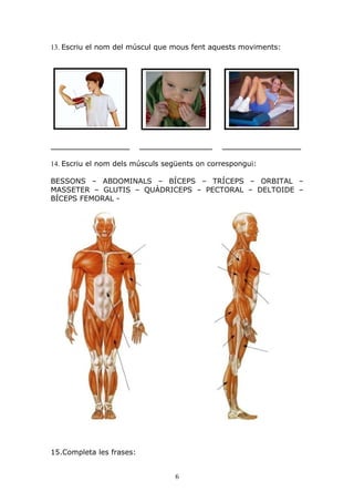 Aparell Locomotor[3]. Exercicis