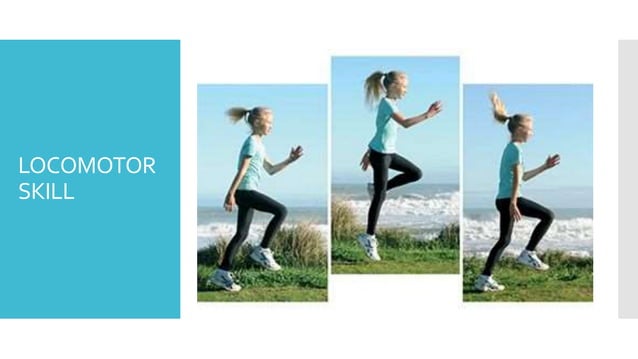 LOCOMOTOR AND NON LOCOMOTOR MOVEMENTS.pptx