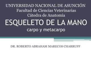 ESQUELETO DE LA MANO
carpo y metacarpo
DR. ROBERTO ABRAHAM MARECOS CHARRUFF
UNIVERSIDAD NACIONAL DE ASUNCIÓN
Facultad de Ciencias Veterinarias
Cátedra de Anatomía
 