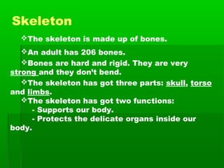 Skeleton
The skeleton is made up of bones.
An adult has 206 bones.
Bones are hard and rigid. They are very
strong and they don’t bend.
The skeleton has got three parts: skull, torso
and limbs.
The skeleton has got two functions:
- Supports our body.
- Protects the delicate organs inside our
body.

 
