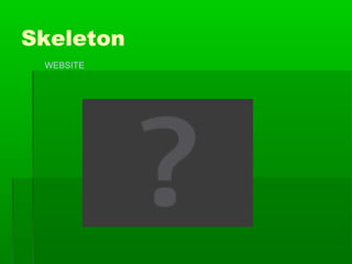Skeleton
WEBSITE

 