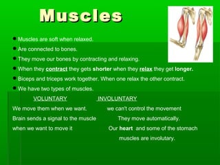 Muscles
Muscles are soft when relaxed.
Are connected to bones.
They move our bones by contracting and relaxing.
When they contract they gets shorter when they relax they get longer.
Biceps and triceps work together. When one relax the other contract.
We have two types of muscles.
VOLUNTARY
We move them when we want.
Brain sends a signal to the muscle
when we want to move it

INVOLUNTARY
we can't control the movement
They move automatically.
Our heart and some of the stomach
muscles are involutary.

 