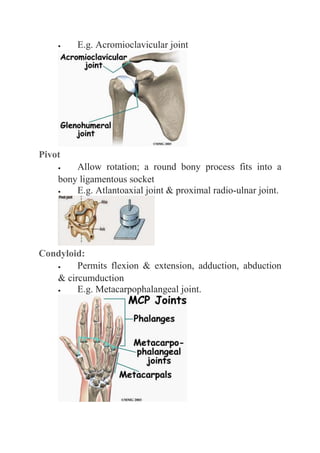  E.g. Acromioclavicular joint 
Pivot 
 Allow rotation; a round bony process fits into a 
bony ligamentous socket 
 E.g. Atlantoaxial joint & proximal radio-ulnar joint. 
Condyloid: 
 Permits flexion & extension, adduction, abduction 
& circumduction 
 E.g. Metacarpophalangeal joint. 
 