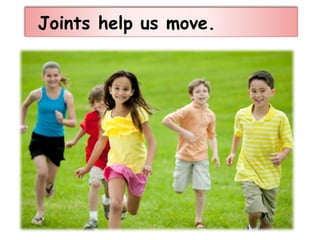 Joints help us move.