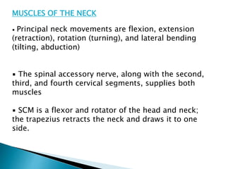 Muscles Involved Neck Rotation Locomotor system - Videos and Explanation | PPTX