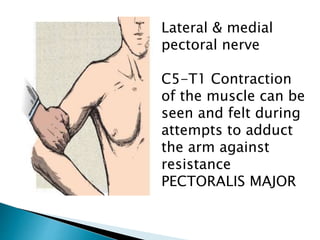 Locomotor system - Videos and Explanation | PPTX