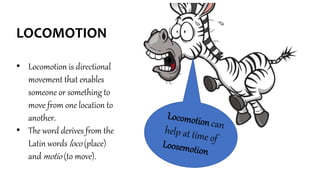 LOCOMOTION
• Locomotion is directional
movement that enables
someone or something to
move from one location to
another.
• The word derives from the
Latin words loco (place)
and motio (to move).
 