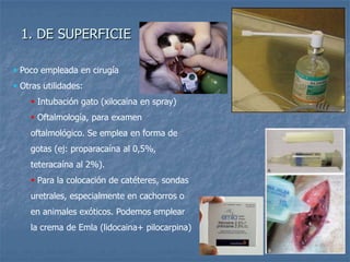 1. DE SUPERFICIE
 Poco empleada en cirugía
 Otras utilidades:
 Intubación gato (xilocaina en spray)
 Oftalmología, para examen
oftalmológico. Se emplea en forma de
gotas (ej: proparacaína al 0,5%,
teteracaína al 2%).
 Para la colocación de catéteres, sondas
uretrales, especialmente en cachorros o
en animales exóticos. Podemos emplear
la crema de Emla (lidocaina+ pilocarpina)
 