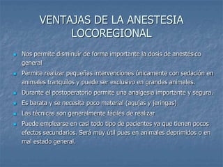 VENTAJAS DE LA ANESTESIA
LOCOREGIONAL
 Nos permite disminuir de forma importante la dosis de anestésico
general
 Permite realizar pequeñas intervenciones únicamente con sedación en
animales tranquilos y puede ser exclusivo en grandes animales.
 Durante el postoperatorio permite una analgesia importante y segura.
 Es barata y se necesita poco material (agujas y jeringas)
 Las técnicas son generalmente fáciles de realizar
 Puede emplearse en casi todo tipo de pacientes ya que tienen pocos
efectos secundarios. Será muy útil pues en animales deprimidos o en
mal estado general.
 