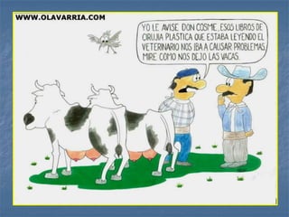 Anestesia Loco-regional 2014