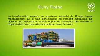 Slurry Pipline
La transformation majeure du processus industriel du Groupe repose
majoritairement sur le saut technologique du transport hydraulique par
pipeline pour répondre au double objectif de croissance des volumes et
d’optimisation des coûts à travers toute la chaine de valeur.
 