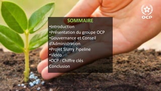 SOMMAIRE
•Introduction
•Présentation du groupe OCP
•Gouvernance et Conseil
d’Administration
•Projet Slurry Pipeline
•Vidéo
•OCP : Chiffre clés
Conclusion
 