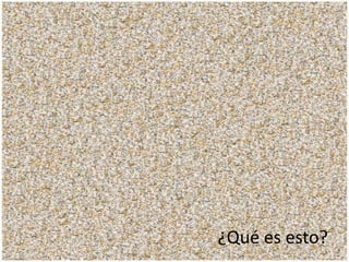 ¿Qué es esto?