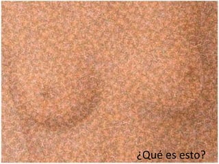¿Qué es esto?