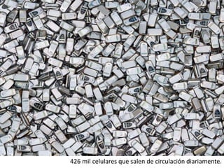426 mil celulares que salen de circulación diariamente.