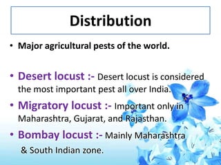Polyphagous pest - Locust | PPTX