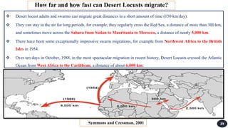 Locust.pdf