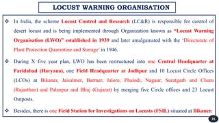 Locust.pdf