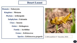 Locust.pdf