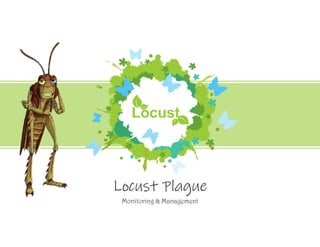 Locust Plague
Monitoring & Management
Locust
 