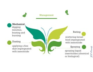 J.S.Kennedy
Management
Spraying
Baiting
digging
trenches,
beating and
burning
Mechanical
Dusting
applying a fine
dust impregnated
with insecticide
scattering locust
food impregnated
with insecticide
spraying liquid
insecticides (chemical
or biological)
 