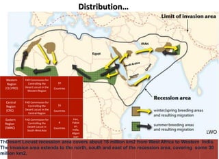 Locust Maps Example Locust current status | PDF