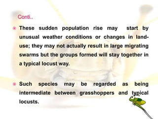 Locust presentation | PPTX