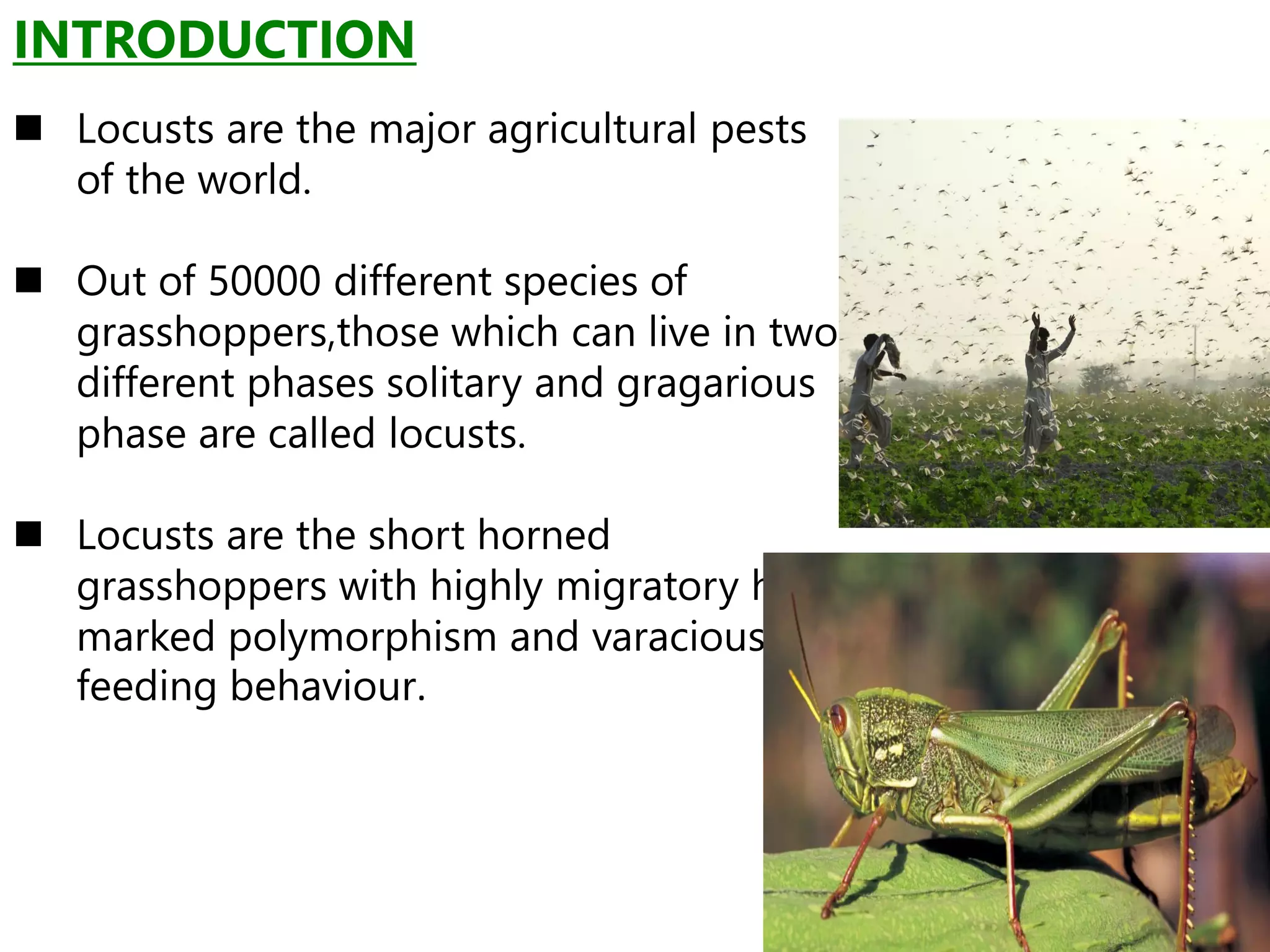 LOCUSTS MIGRATION AND SWARMING-WPS Office (2).pdf