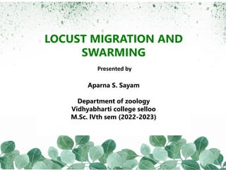 LOCUST MIGRATION AND
SWARMING
Presented by
Aparna S. Sayam
Department of zoology
Vidhyabharti college selloo
M.Sc. lVth sem (2022-2023)
 