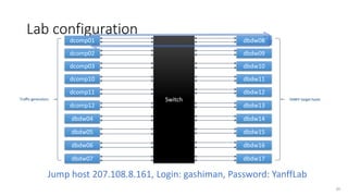 NFF-GO (YANFF) - Yet Another Network Function Framework | PDF